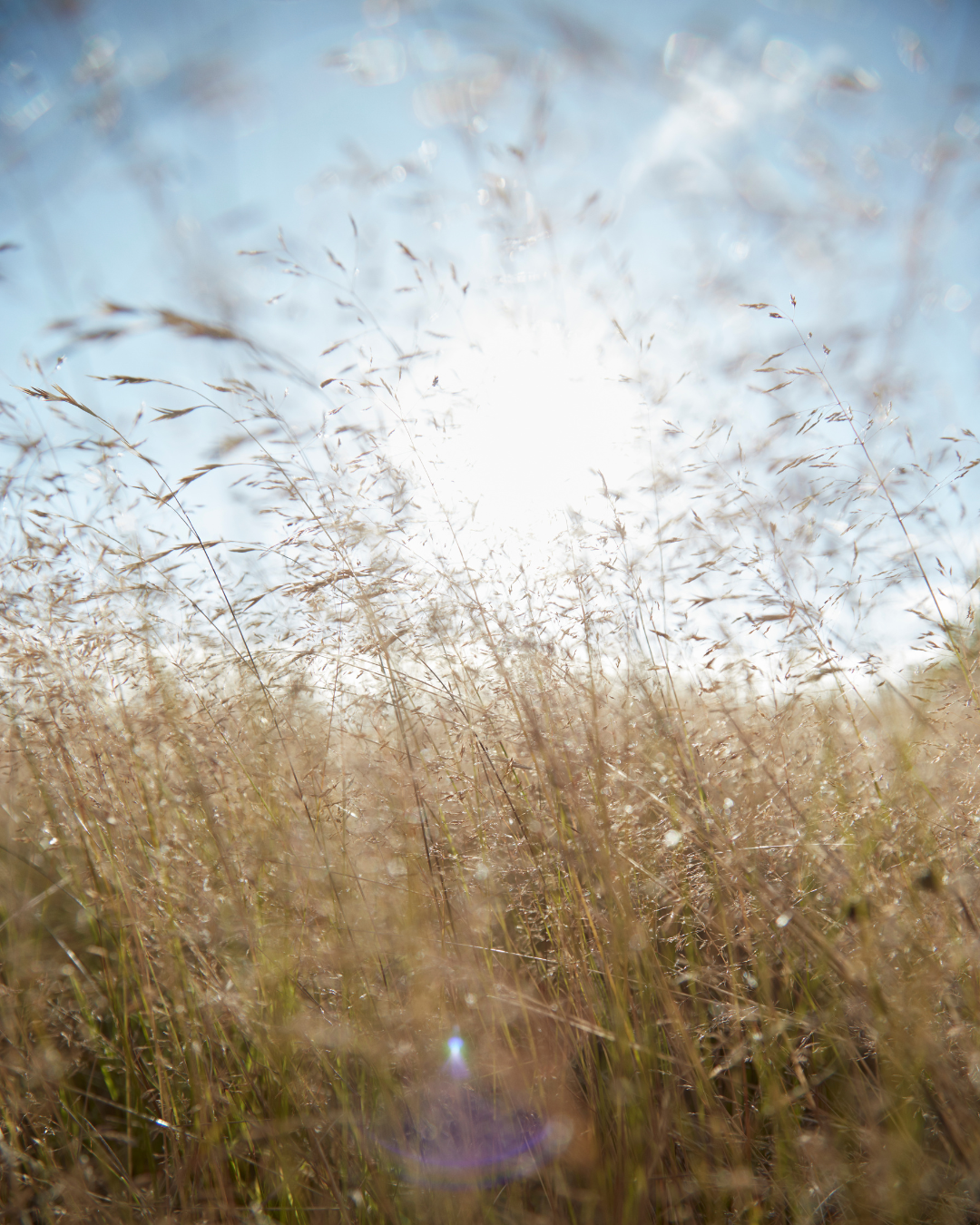 OEKO-TEX® Standard 100 – din garanti for tekstiler, du kan stole på