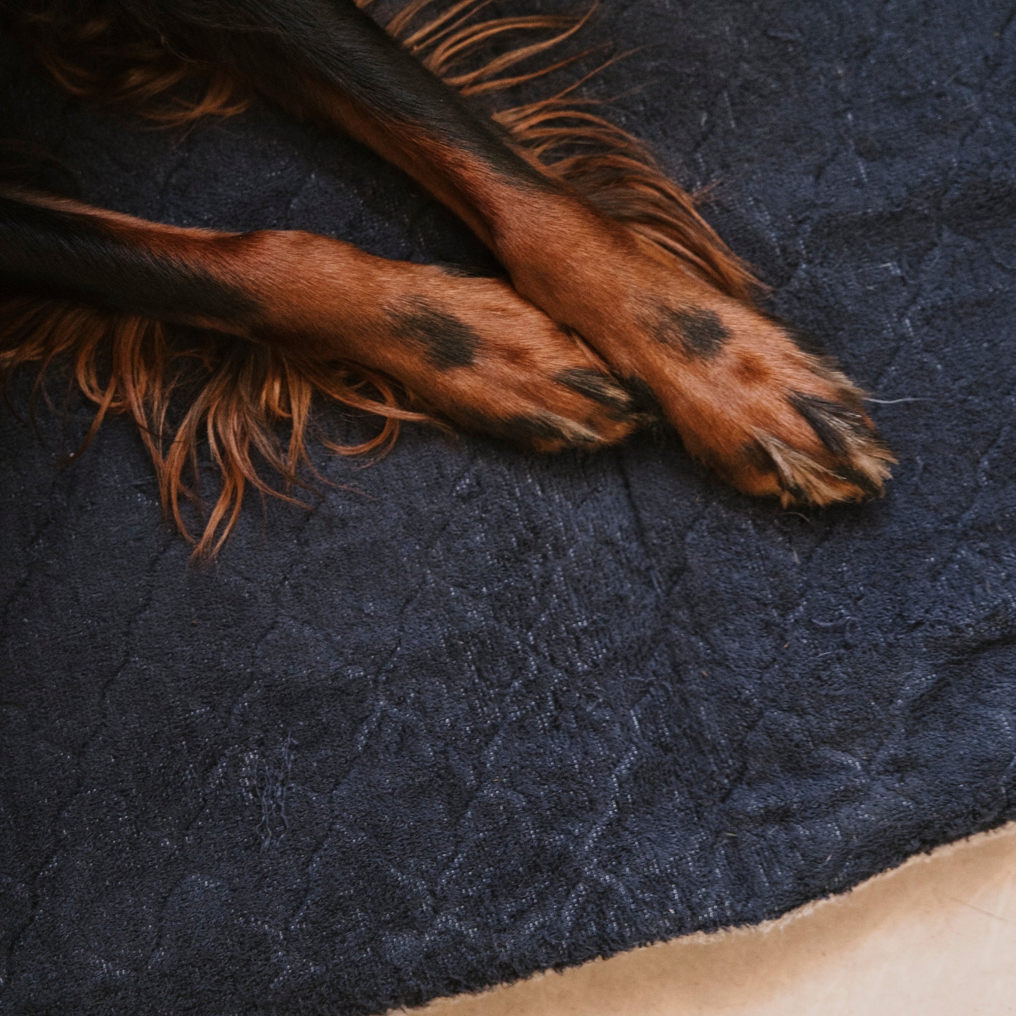 Nordic Sleep x Siccaro hundeseng - Navy Pinstripe - M