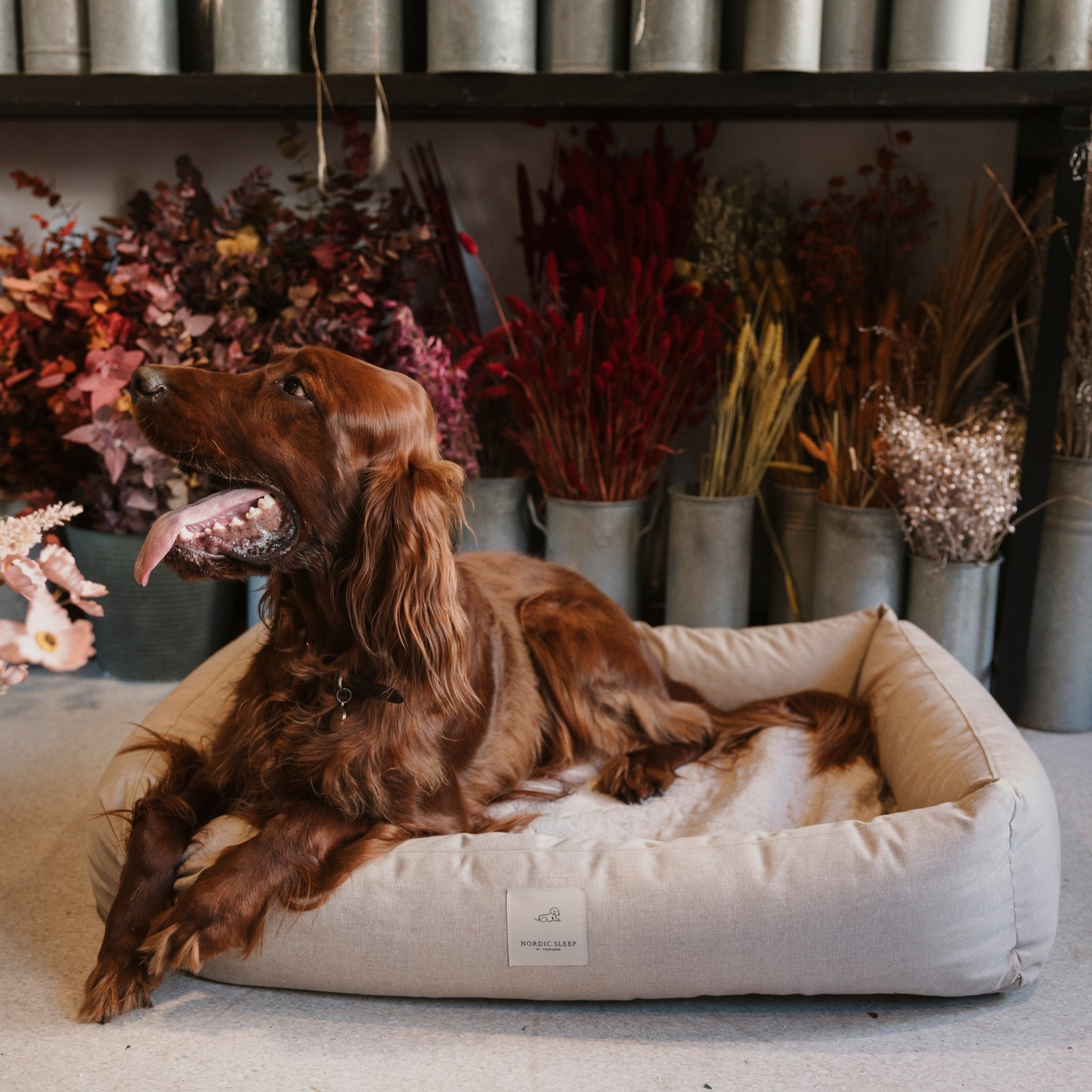 Nordic Sleep x Siccaro hundeseng - Sand/Beige - M