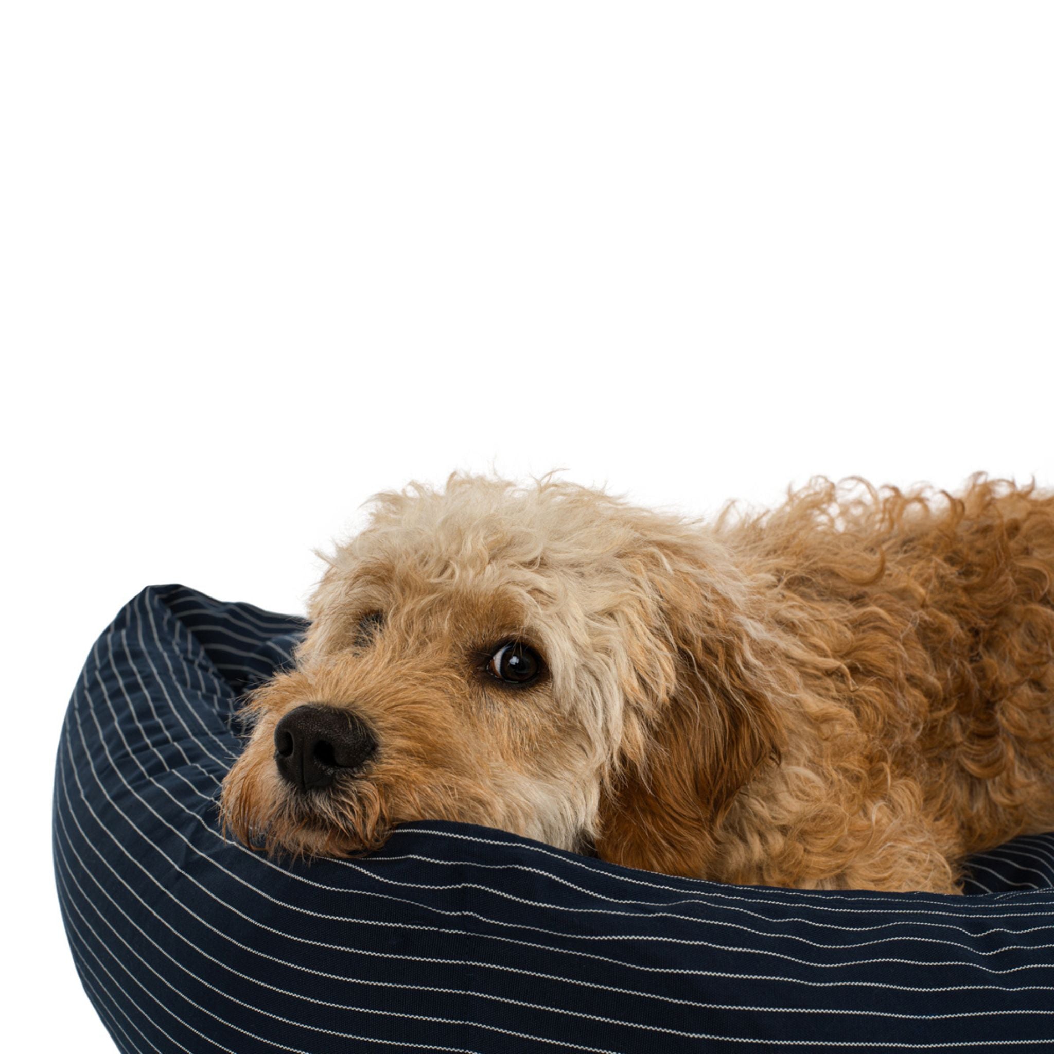 Hundeseng Navy pinstripe Medium - 70x90