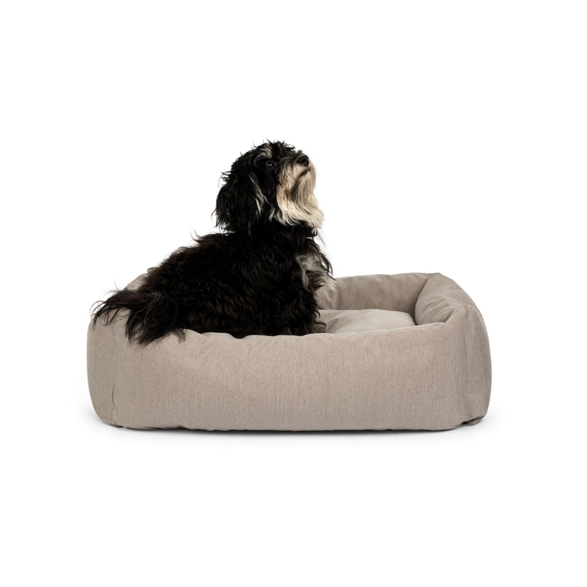 Hundeseng Soft Grey Small - 50x70