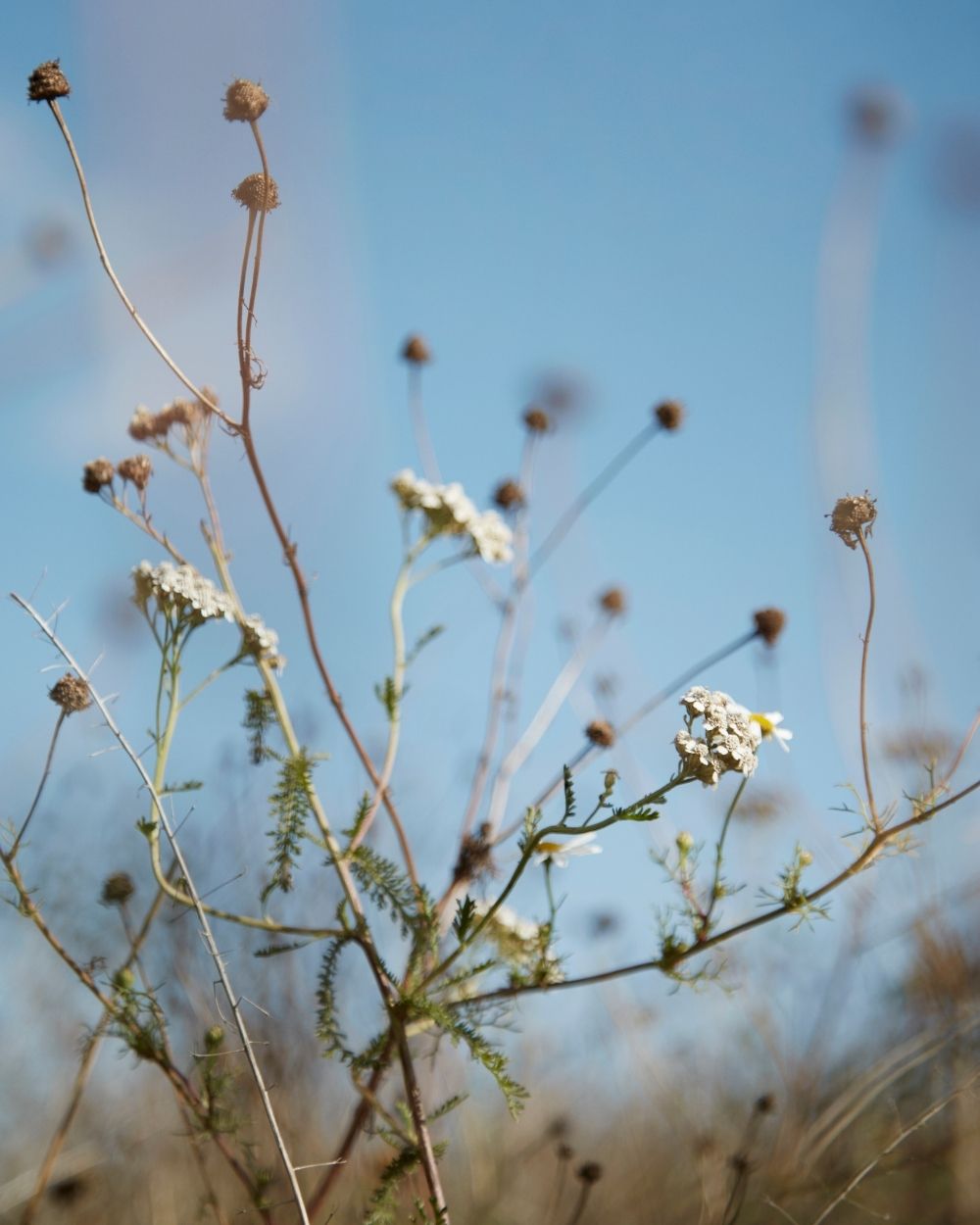 Bæredygtighedsrappporter & nyheder