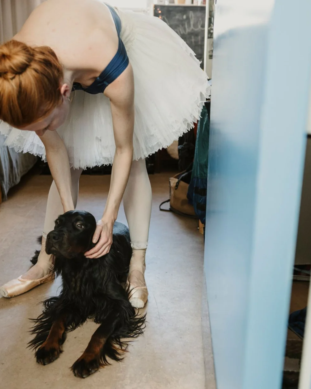 Med hunden på arbejde: Det kongelige teater