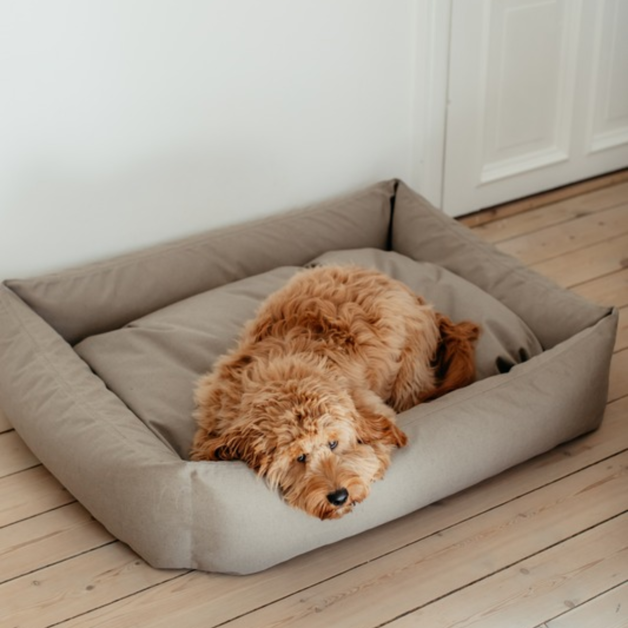 Hundeseng Khaki Medium - 70x90