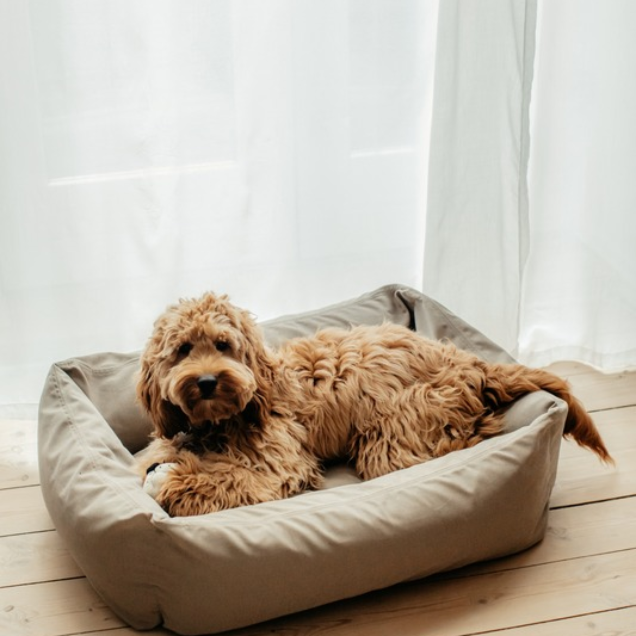 Hundeseng Soft Grey Medium - 70x90