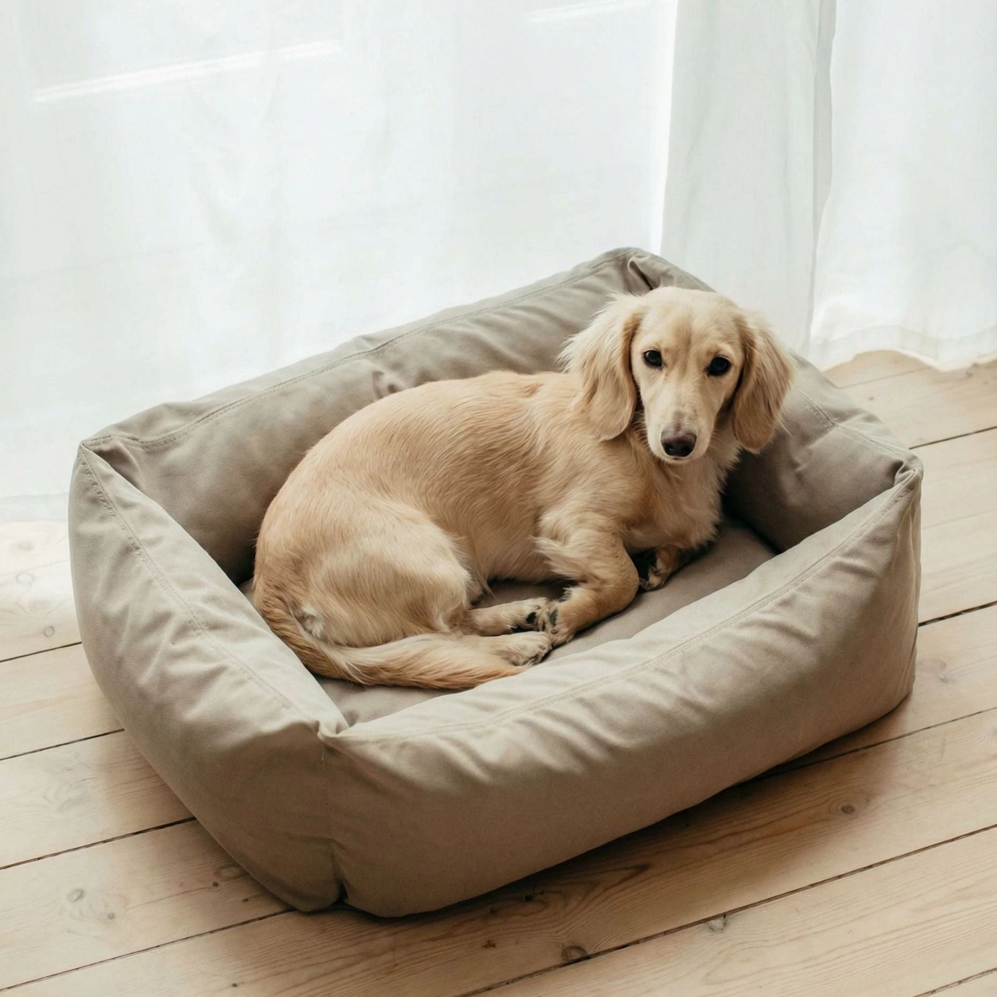 Hundeseng Khaki X-Small - 50x45