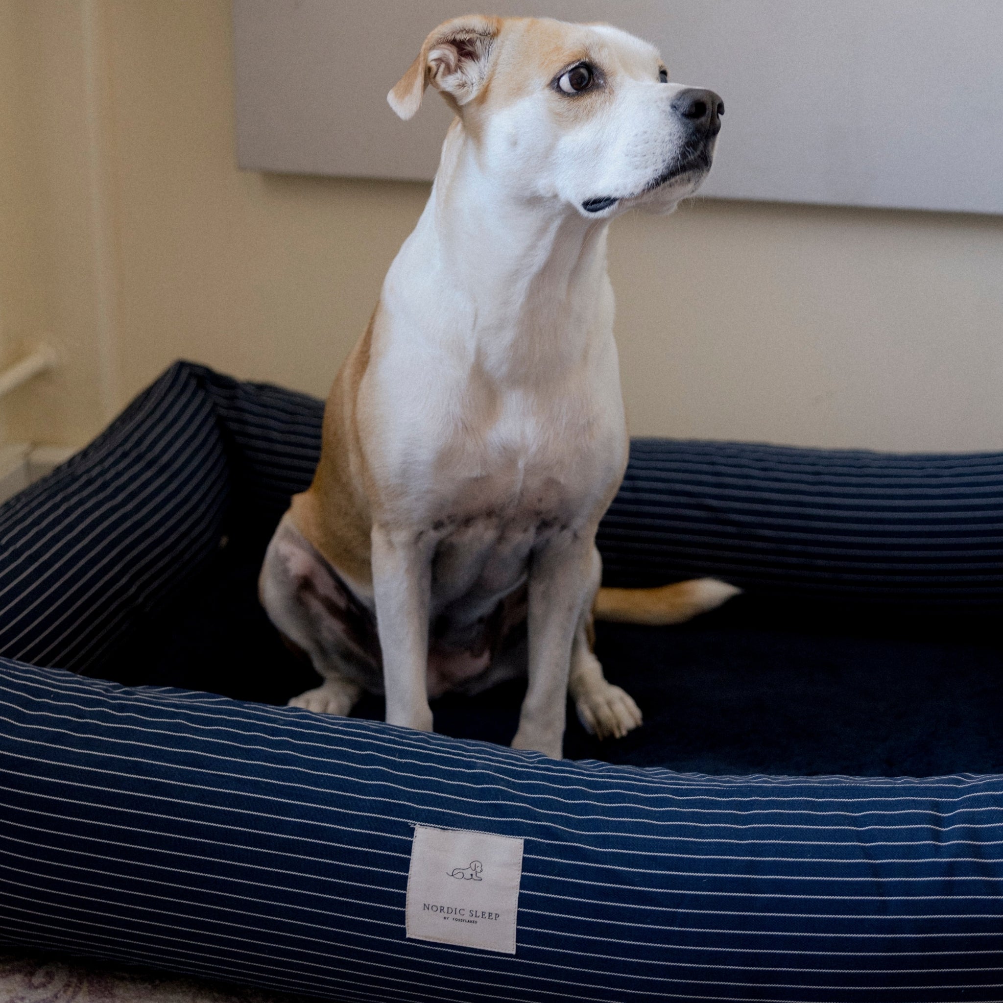 Nordic Sleep x Siccaro hundeseng - Navy Pinstripe - M