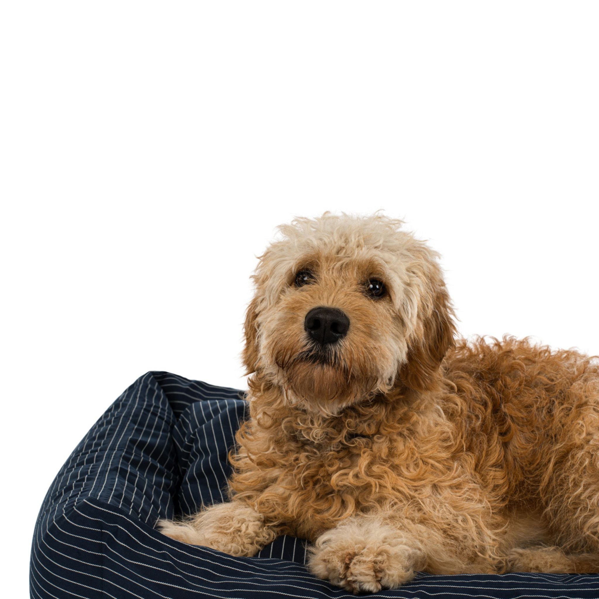 Hundeseng Navy pinstripe Medium - 70x90